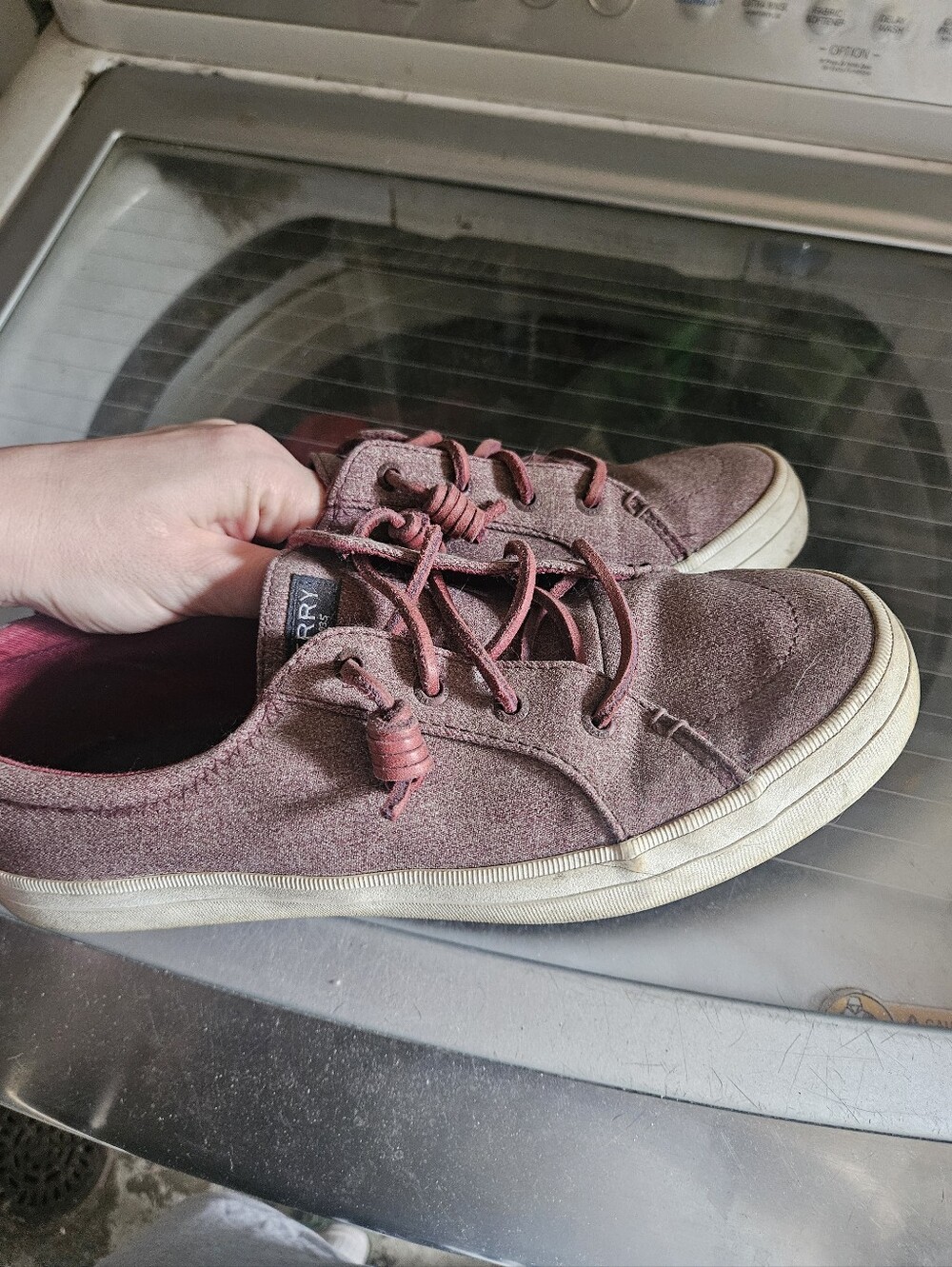 Sperry Shoes - Picture 2 of 3